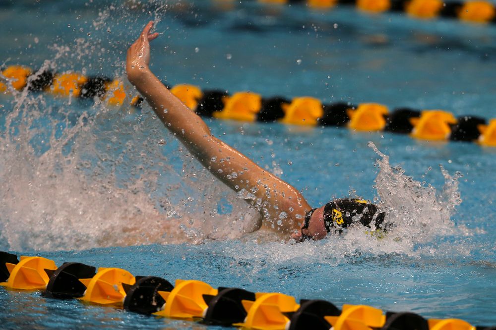 Iowa’s Ariel Wooden during Iowa swim and dive vs Minnesota on Saturday, October 26, 2019 at the Campus Wellness and Recreation Center. (Lily Smith/hawkeyesports.com)