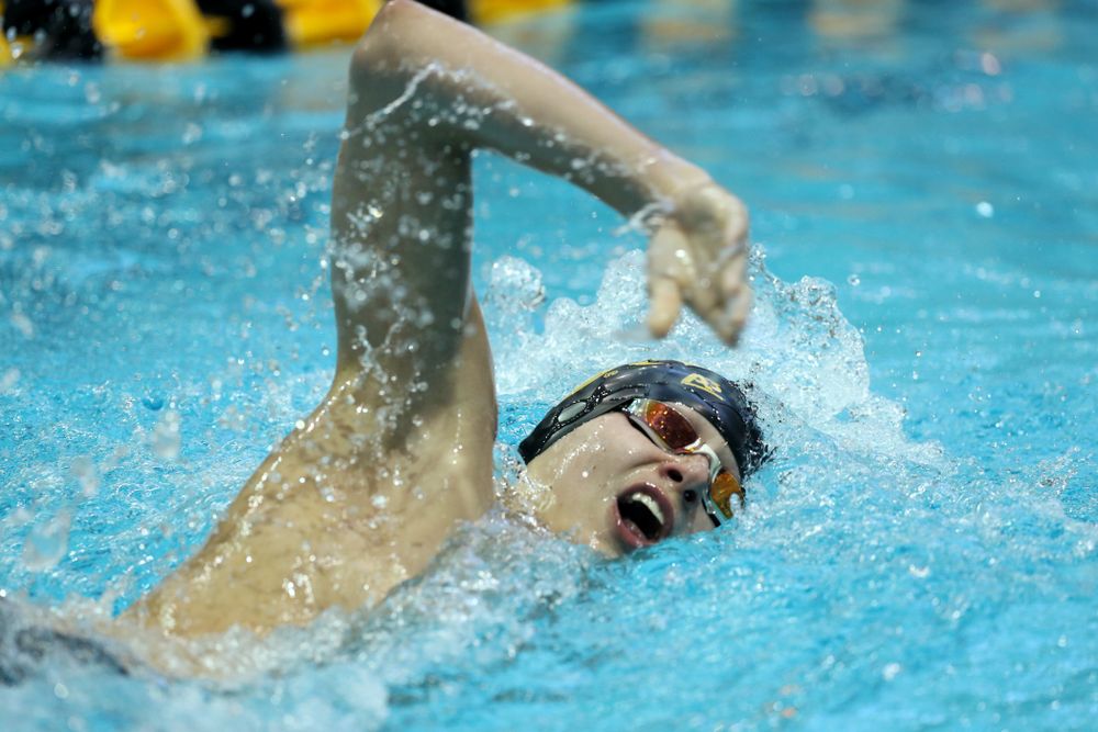 Iowa's Andrew Fierke swims the 500 yard freestyle Thursday, November 15, 2018 during the 2018 Hawkeye Invitational at the Campus Recreation and Wellness Center. (Brian Ray/hawkeyesports.com)