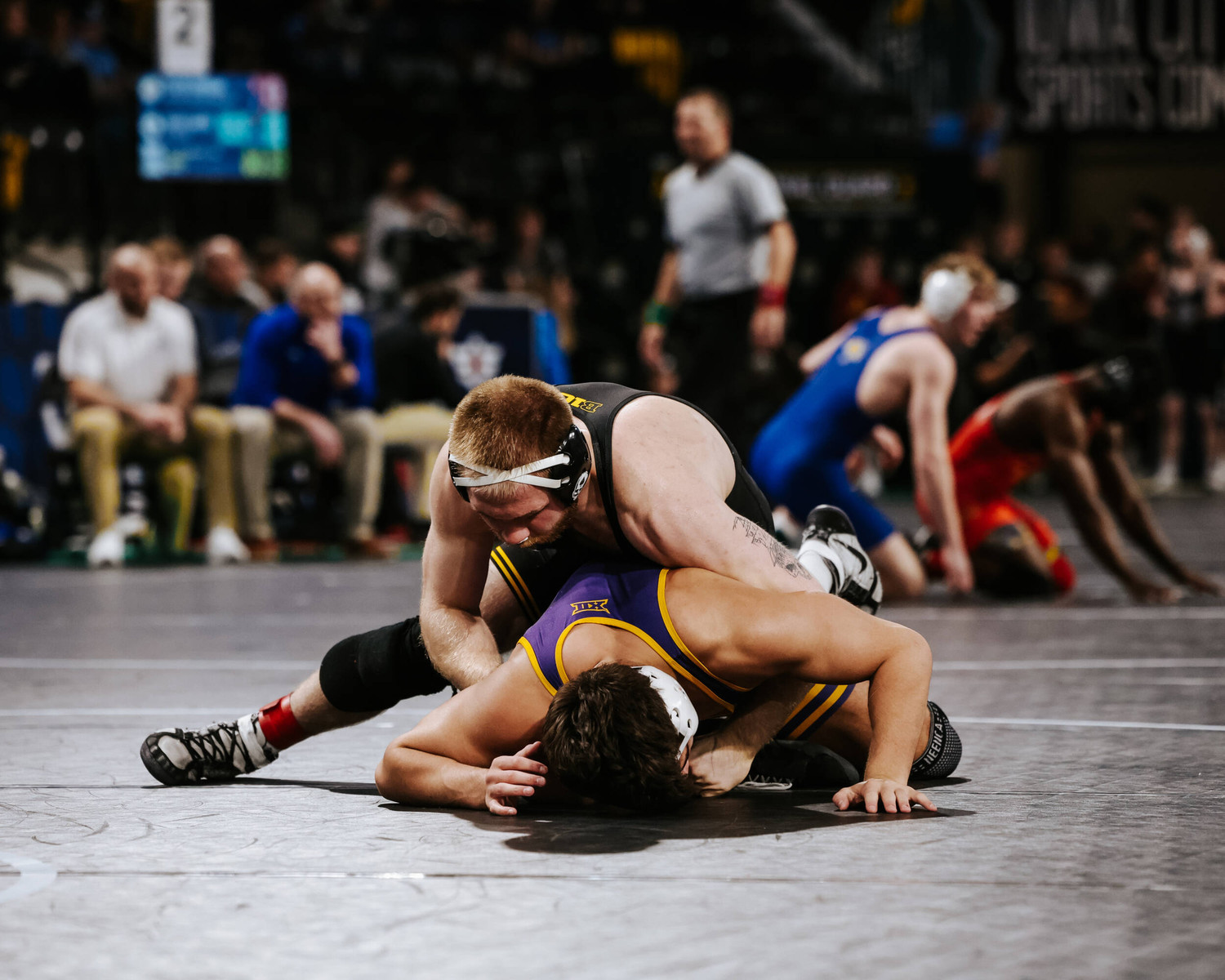 Iowa Sends 9 to Finals at the Soldier Salute University of Iowa Athletics