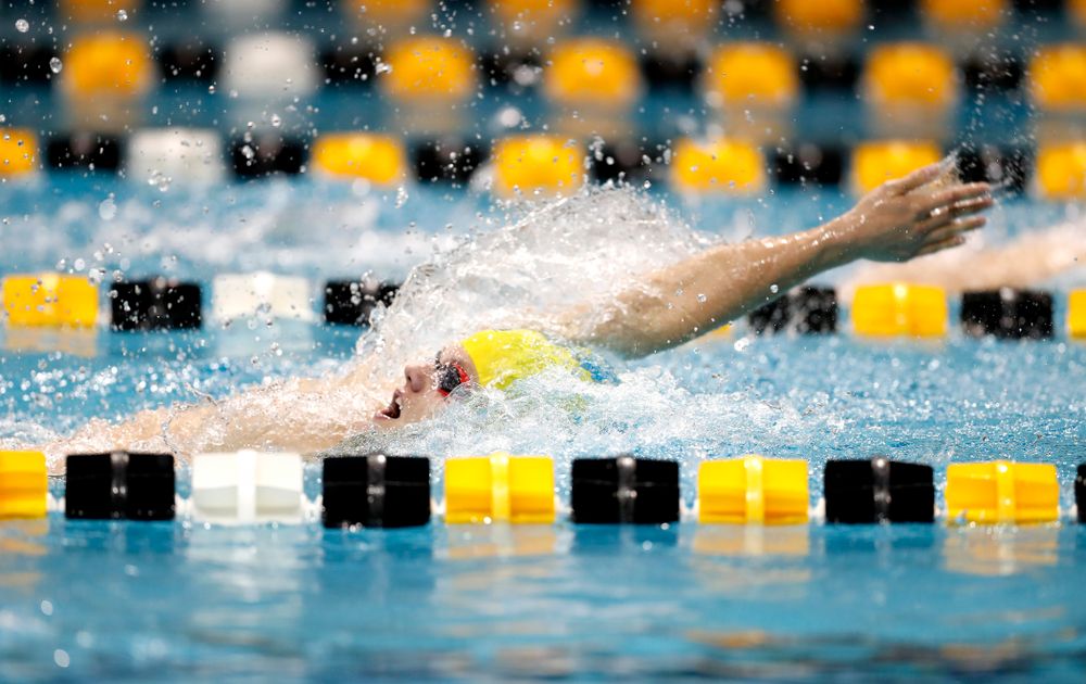 Anze Fers Erzen swims the 200 yard IM during the Black and Gold Intrasquad Saturday, September 29, 2018 at the Campus Recreation and Wellness Center. (Brian Ray/hawkeyesports.com)