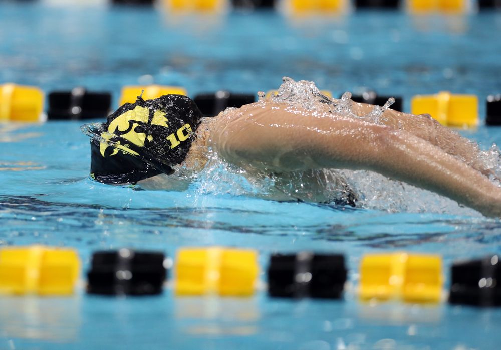 IowaÕs Christina Kaufman swims the 100 yard butterfly against the Michigan Wolverines Friday, November 1, 2019 at the Campus Recreation and Wellness Center. (Brian Ray/hawkeyesports.com)