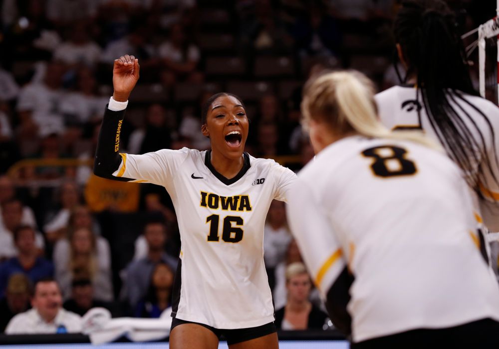 Iowa Hawkeyes outside hitter Taylor Louis (16) against the Michigan State Spartans Friday, September 21, 2018 at Carver-Hawkeye Arena. (Brian Ray/hawkeyesports.com)