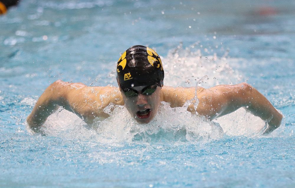 Iowa's Dolan Craine competes in the 200-yard butterfly during the third day of the Hawkeye Invitational at the Campus Recreation and Wellness Center on November 17, 2018. (Tork Mason/hawkeyesports.com)