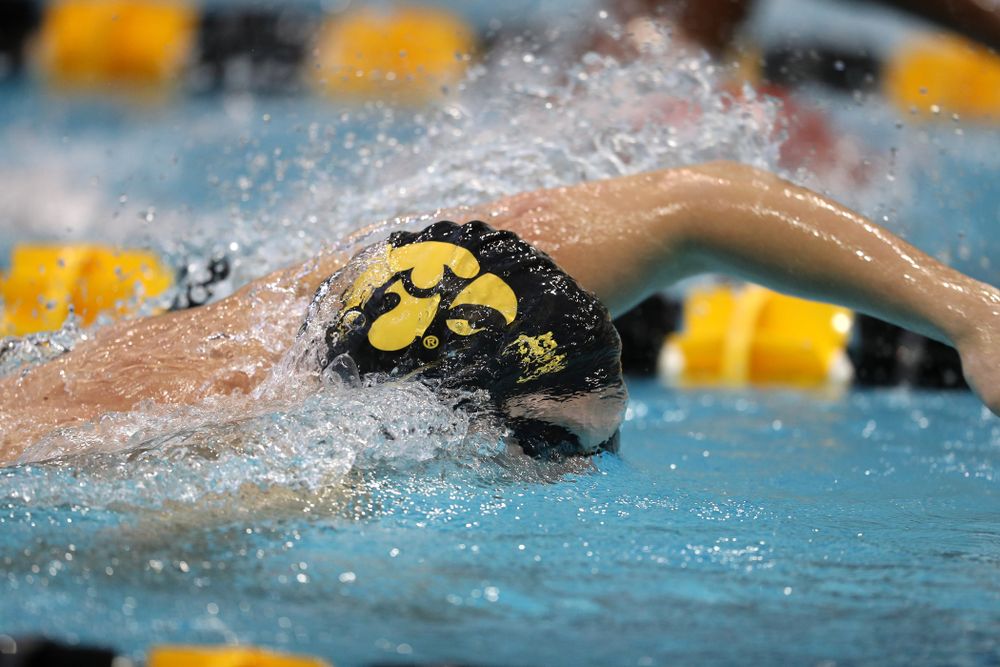 Iowa's Forrest White swims the 200 yard freestyle during a double dual against Wisconsin and Northwestern Saturday, January 19, 2019 at the Campus Recreation and Wellness Center. (Brian Ray/hawkeyesports.com)