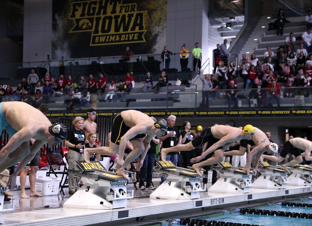 Iowa's Joseph Myhre swims in the preliminaries of the 50-yard freestyle during the 2019 Big Ten Swimming and Diving Championships Thursday, February 28, 2019 at the Campus Wellness and Recreation Center. (Brian Ray/hawkeyesports.com)