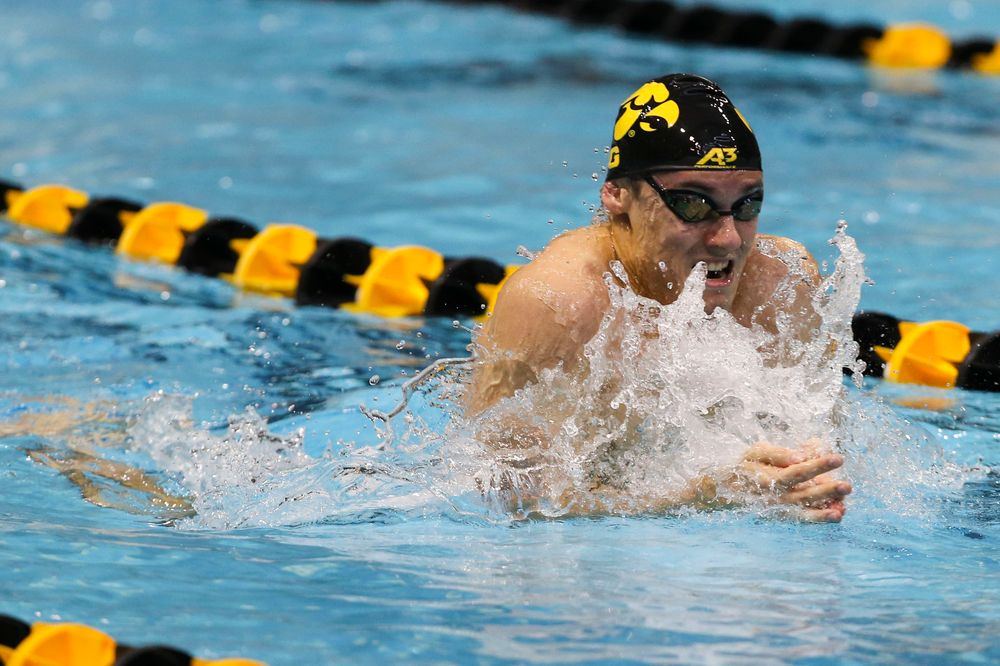 Iowa’s Daniel Swanepoel during Iowa swim and dive vs Minnesota on Saturday, October 26, 2019 at the Campus Wellness and Recreation Center. (Lily Smith/hawkeyesports.com)