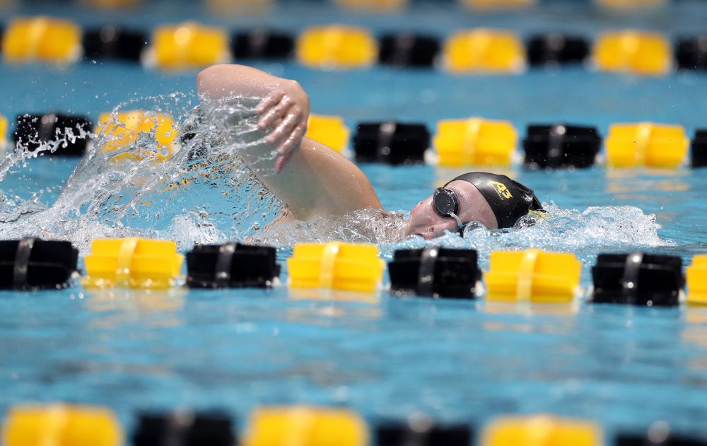 IowaÕs Taylor Hartley swims the 1,000 yard freestyle agains the Michigan Wolverines Friday, November 1, 2019 at the Campus Recreation and Wellness Center. (Brian Ray/hawkeyesports.com)