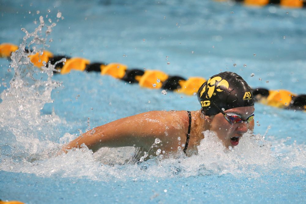 Iowa’s Christian Kauffman swims the 200-yard butterfly during the Iowa swimming and diving meet vs Notre Dame and Illinois on Saturday, January 11, 2020 at the Campus Recreation and Wellness Center. (Lily Smith/hawkeyesports.com)