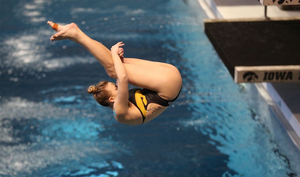 Sam Tamborski competes on the 1 meter board Thursday, November 15, 2018 during the 2018 Hawkeye Invitational at the Campus Recreation and Wellness Center. (Brian Ray/hawkeyesports.com)