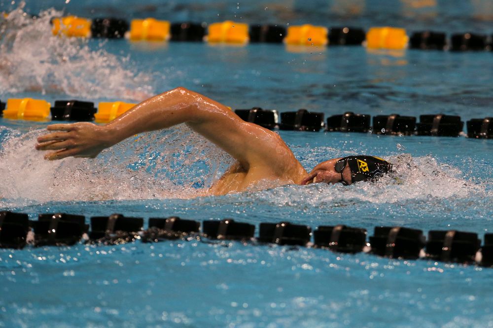 Iowa’s Mateusz Arndt during Iowa swim and dive vs Minnesota on Saturday, October 26, 2019 at the Campus Wellness and Recreation Center. (Lily Smith/hawkeyesports.com)