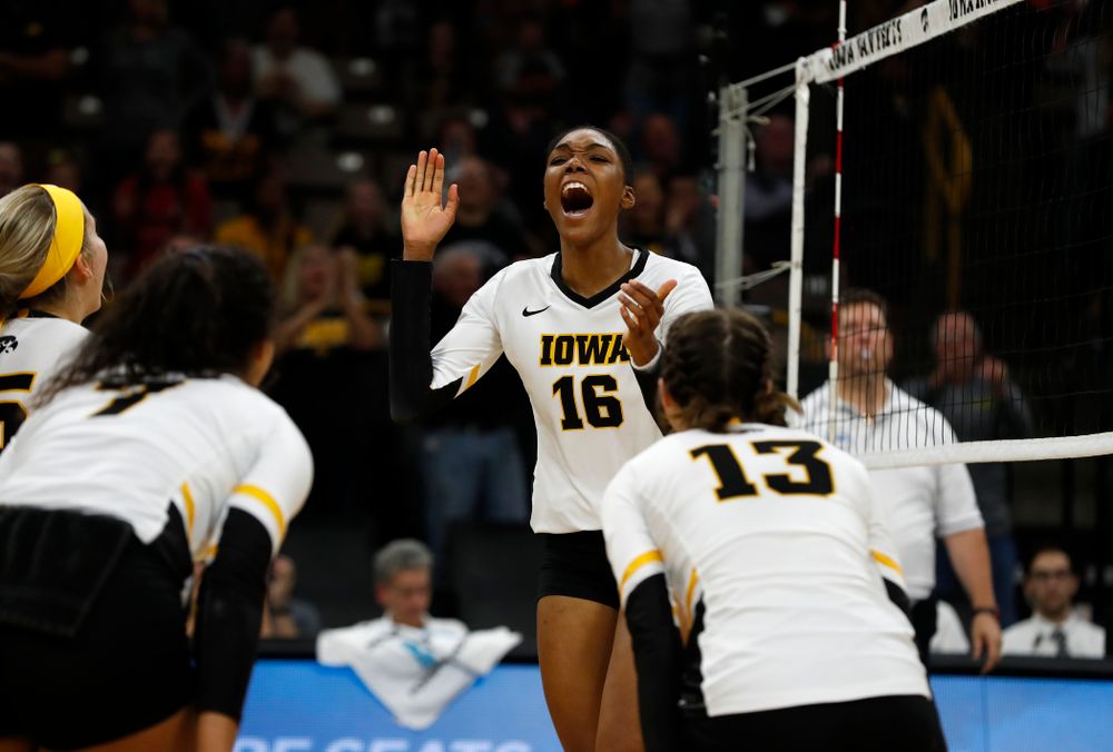 Iowa Hawkeyes outside hitter Taylor Louis (16) against the Michigan Wolverines Sunday, September 23, 2018 at Carver-Hawkeye Arena. (Brian Ray/hawkeyesports.com)