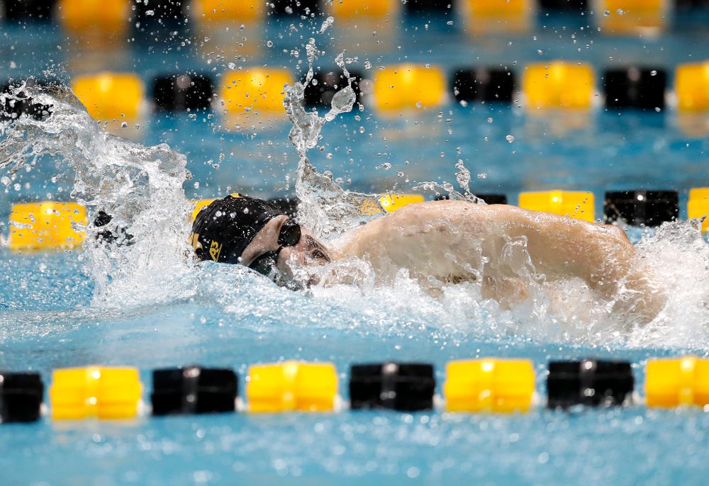 Ben Colin swims the 200 yard freestyle during the Black and Gold Intrasquad Saturday, September 29, 2018 at the Campus Recreation and Wellness Center. (Brian Ray/hawkeyesports.com)