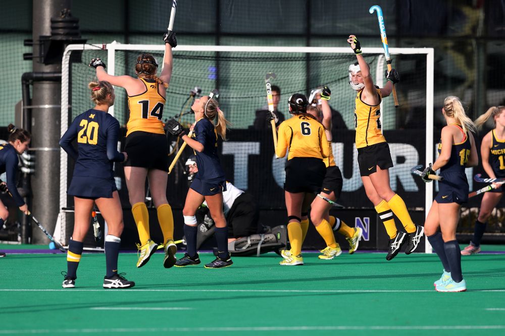 The Iowa Hawkeyes celebrate their 2-1 victory over the the Michigan Wolverines in the semi-finals of the Big Ten Tournament Friday, November 2, 2018 at Lakeside Field on the campus of Northwestern University in Evanston, Ill. (Brian Ray/hawkeyesports.com)