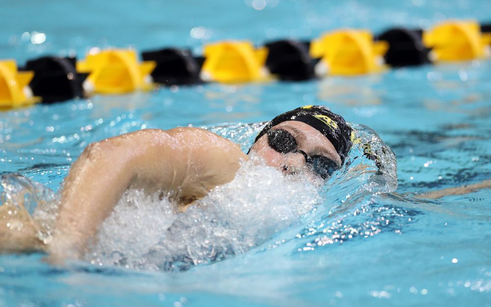 IowaÕs Emilia Sansome swims the 500 yard freestyle against the Michigan Wolverines Friday, November 1, 2019 at the Campus Recreation and Wellness Center. (Brian Ray/hawkeyesports.com)