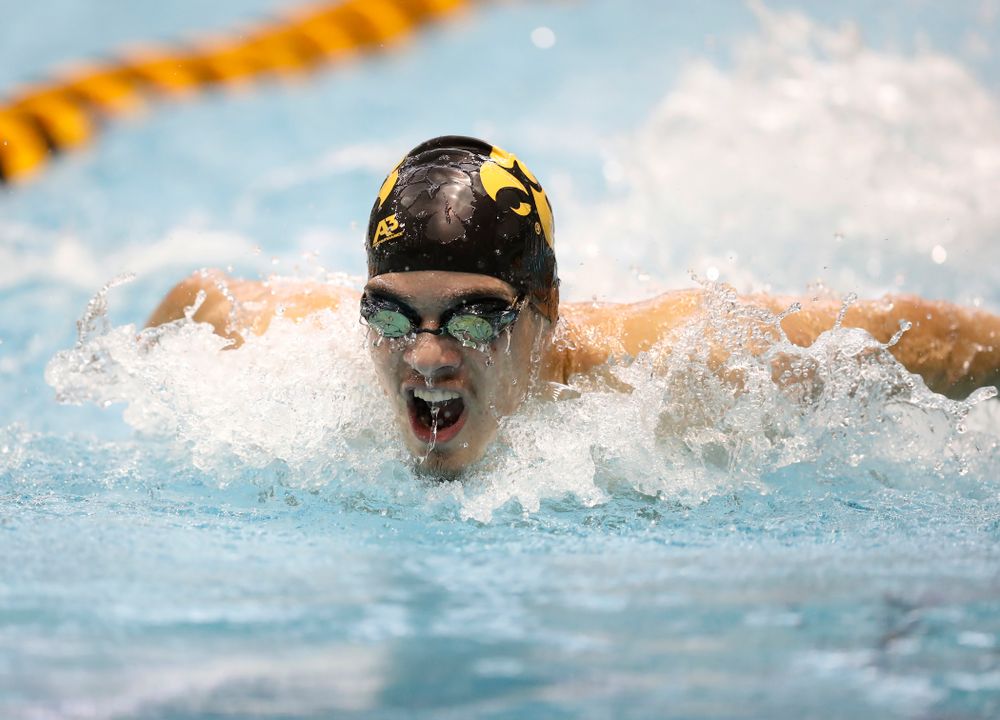 Matjaz Rozman swims the 100 yard butterfly during the Black and Gold Intrasquad Saturday, September 29, 2018 at the Campus Recreation and Wellness Center. (Brian Ray/hawkeyesports.com)