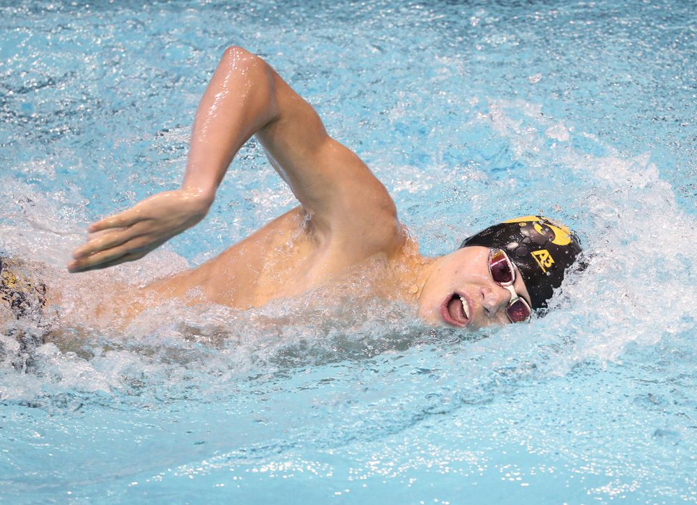Iowa's Andrew Fierke swims the 1000 yard freestyle during a double dual against Wisconsin and Northwestern Saturday, January 19, 2019 at the Campus Recreation and Wellness Center. (Brian Ray/hawkeyesports.com)