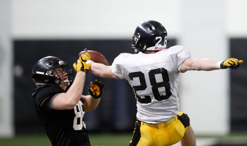 Iowa Hawkeyes tight end Nate Vejvoda (85) and defensive back Jack Koerner (28) during spring practice  Thursday, March 29, 2018 at the Hansen Football Performance Center. (Brian Ray/hawkeyesports.com)