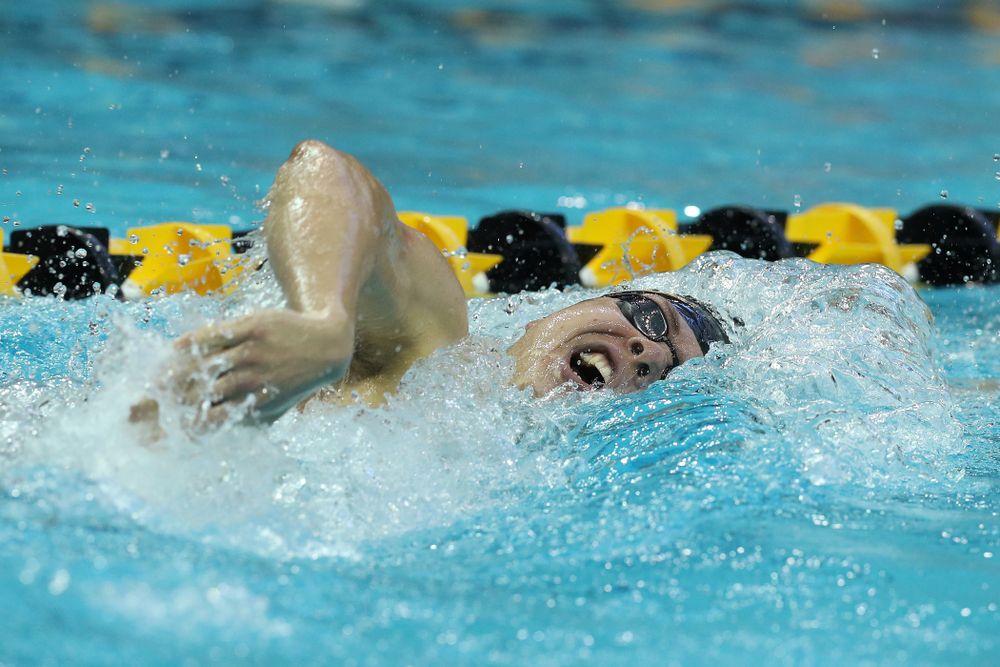 Iowa's Mateusz Arndt swims the 500 yard freestyle Thursday, November 15, 2018 during the 2018 Hawkeye Invitational at the Campus Recreation and Wellness Center. (Brian Ray/hawkeyesports.com)