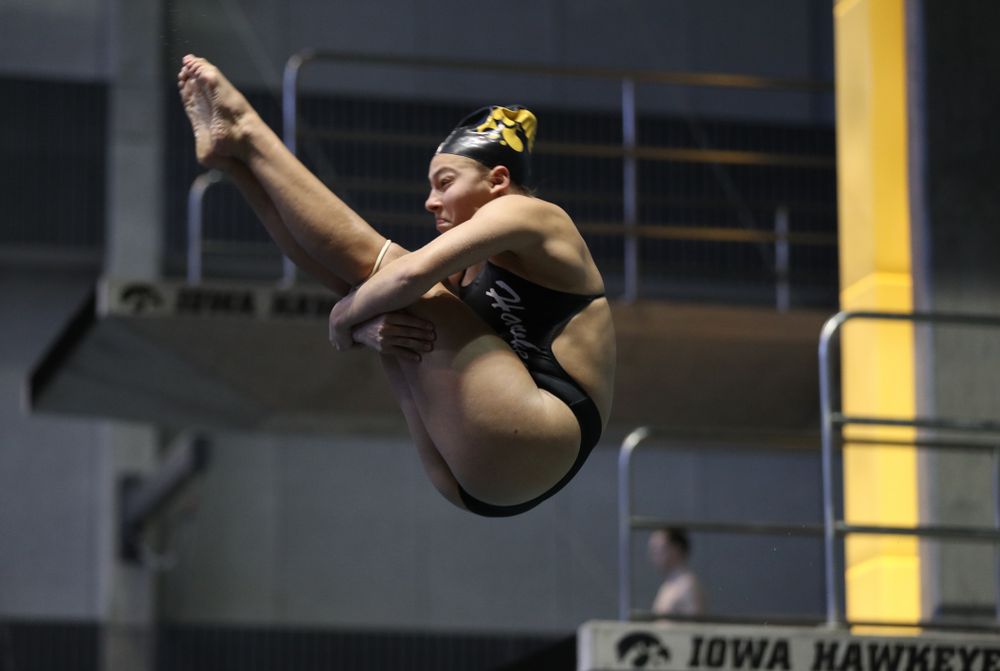 Sam Tamborski competes on the 1 meter board Thursday, November 15, 2018 during the 2018 Hawkeye Invitational at the Campus Recreation and Wellness Center. (Brian Ray/hawkeyesports.com)