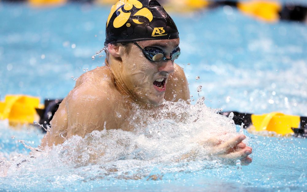Iowa's Daniel Swanepoel swims the breaststroke leg of the 200 yard medley relay during a double dual against Wisconsin and Northwestern Saturday, January 19, 2019 at the Campus Recreation and Wellness Center. (Brian Ray/hawkeyesports.com)