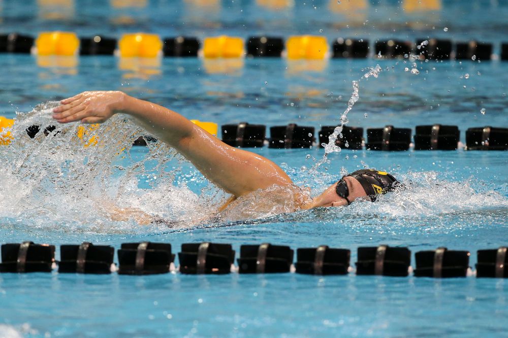 Iowa’s Emilia Sansome during Iowa swim and dive vs Minnesota on Saturday, October 26, 2019 at the Campus Wellness and Recreation Center. (Lily Smith/hawkeyesports.com)