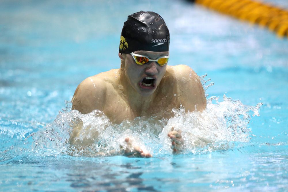 Iowa's Anze Fers Erzen swims the 200-yard IM during the bonus final of the second day at the 2019 Big Ten Swimming and Diving Championships Thursday, February 28, 2019 at the Campus Wellness and Recreation Center. (Brian Ray/hawkeyesports.com)