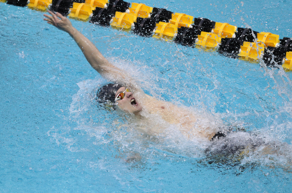 Iowa's Anze Fers Erzen competes in the 200-yard backstroke during the 2019 Big Ten Men's Swimming and Diving Championships Saturday, March 2, 2019 at the Campus Wellness and Recreation Center. (Brian Ray/hawkeyesports.com)