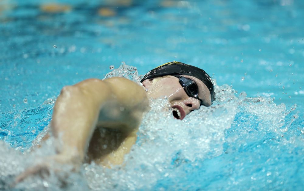 Iowa's Forrest White swims the 500 yard freestyle Thursday, November 15, 2018 during the 2018 Hawkeye Invitational at the Campus Recreation and Wellness Center. (Brian Ray/hawkeyesports.com)