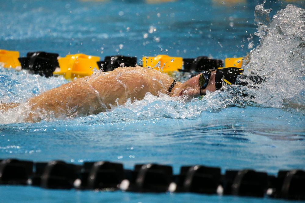 Hannah Burvill during Iowa women’s swimming and diving vs Rutgers on Friday, November 8, 2019 at the Campus Wellness and Recreation Center. (Lily Smith/hawkeyesports.com)