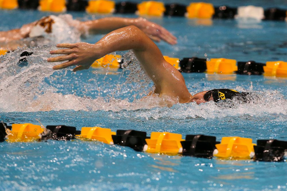 Iowa’s Mateusz Arndt during Iowa swim and dive vs Minnesota on Saturday, October 26, 2019 at the Campus Wellness and Recreation Center. (Lily Smith/hawkeyesports.com)