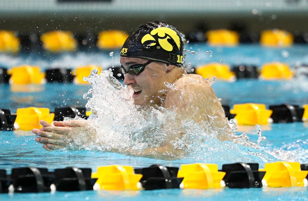 Iowa’s Daniel Swanepoel swims the breaststroke section of the men’s 200-yard medley relay event during their meet against Michigan State and Northern Iowa at the Campus Recreation and Wellness Center in Iowa City on Friday, Oct 4, 2019. (Stephen Mally/hawkeyesports.com)