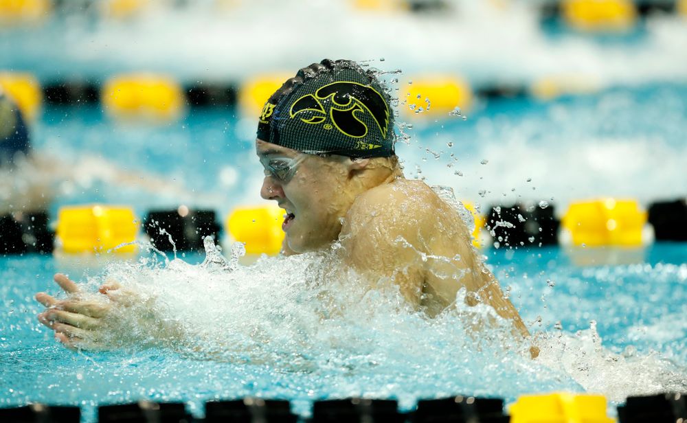  Saturday, January 13, 2018 (Brian Ray/hawkeyesports.com)Iowa's Daniel Swanepoel swims the breaststroke leg of the 200 yard medley relay 