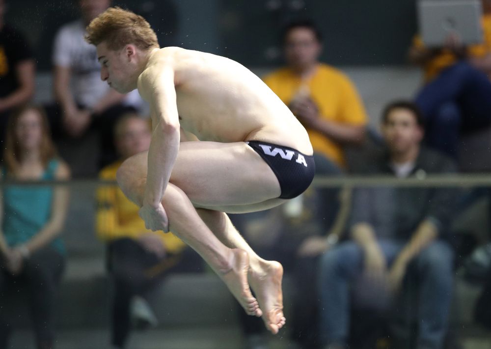 Iowa's Will Brenner competes in the consolation finals of the 1-meter springboard at the 2019 Big Ten Swimming and Diving Championships Thursday, February 28, 2019 at the Campus Wellness and Recreation Center. (Brian Ray/hawkeyesports.com)
