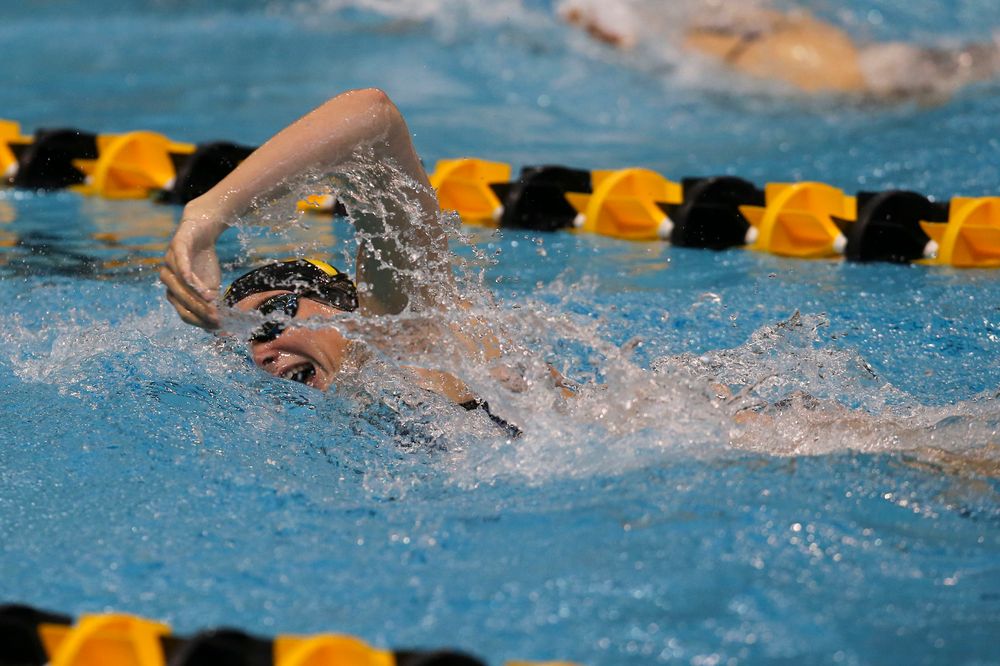 Iowa’s Anna Brooker during Iowa swim and dive vs Minnesota on Saturday, October 26, 2019 at the Campus Wellness and Recreation Center. (Lily Smith/hawkeyesports.com)