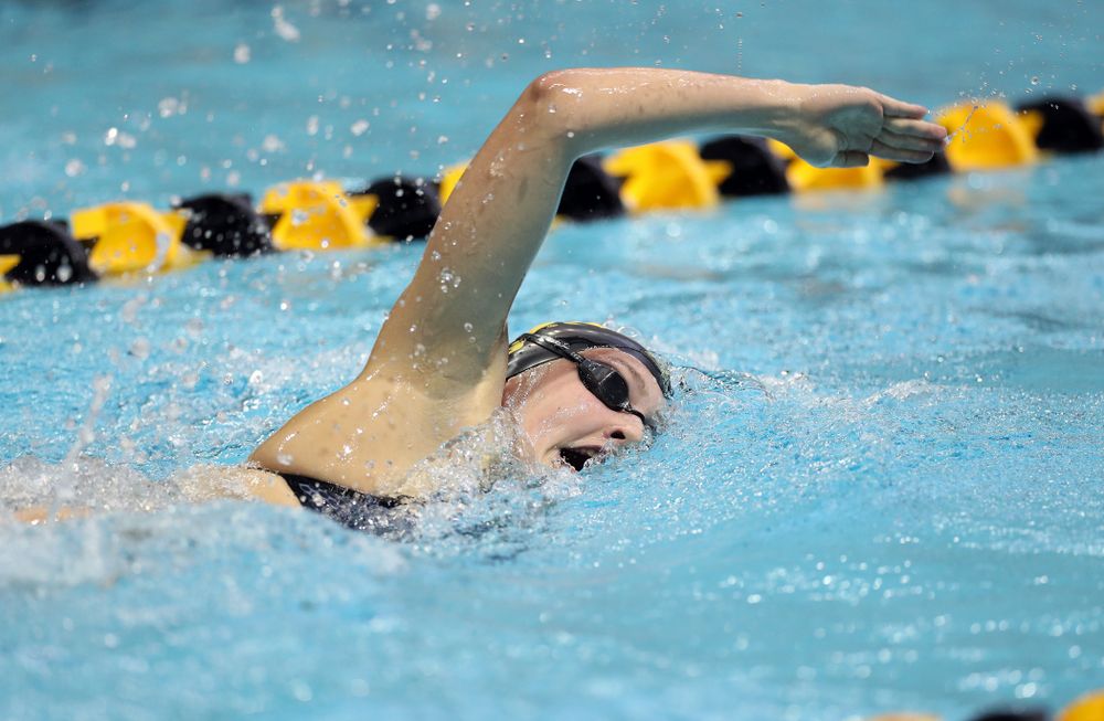 IowaÕs Emilia Sansome swims the 500 yard freestyle against the Michigan Wolverines Friday, November 1, 2019 at the Campus Recreation and Wellness Center. (Brian Ray/hawkeyesports.com)