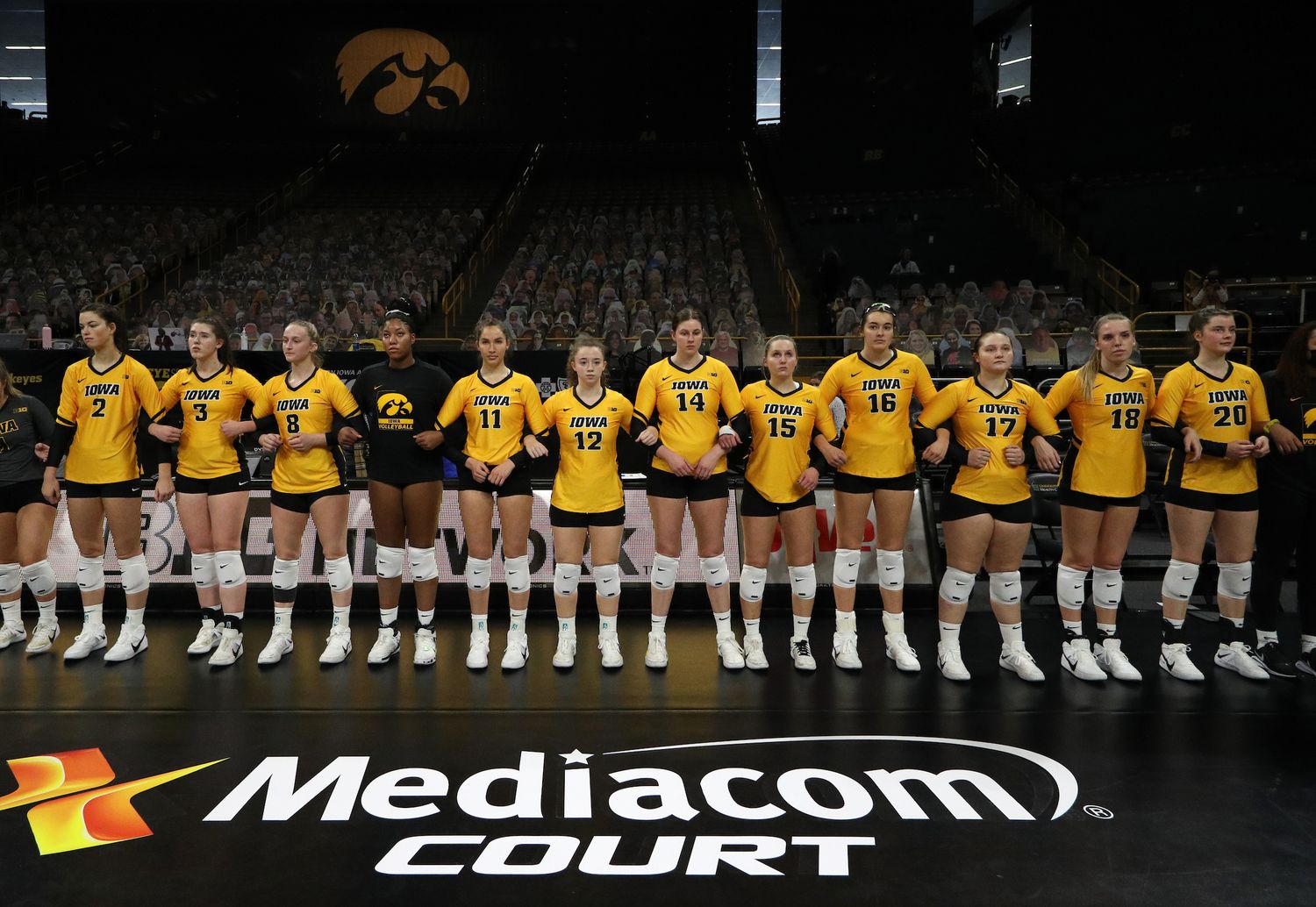 Volleyball The Culture University of Iowa Athletics