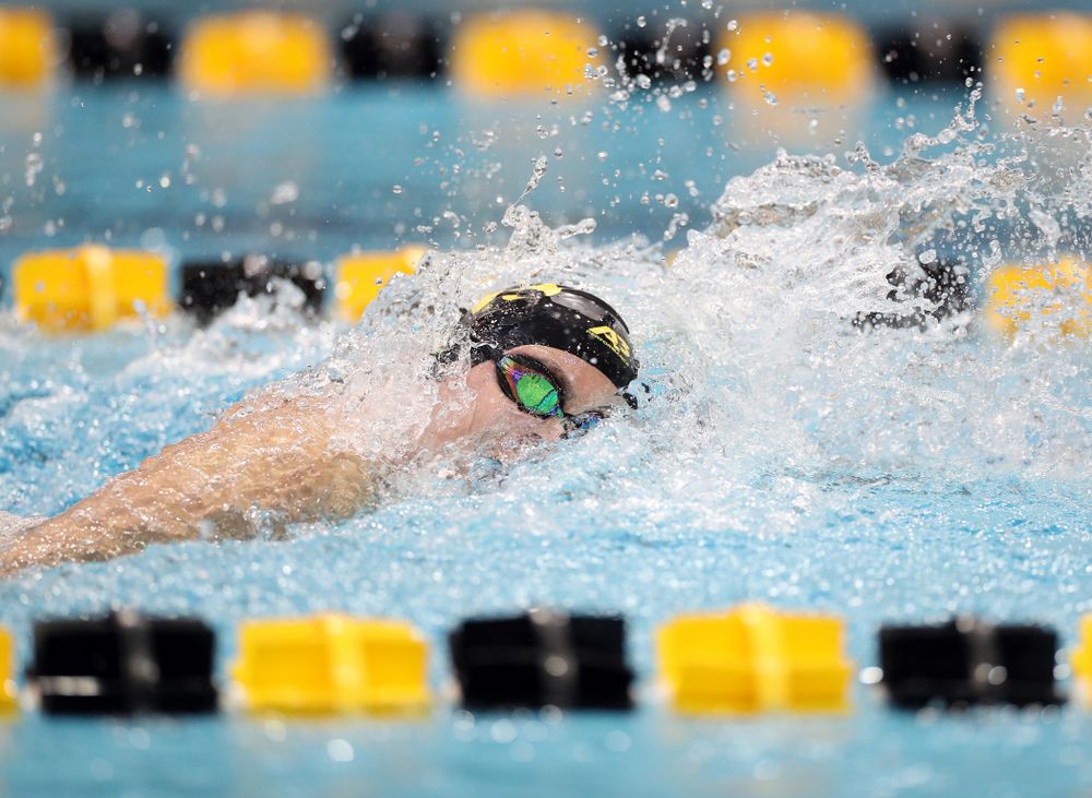 IowaÕs Meghan Hackett swims the 50 yard freestyle against the Michigan Wolverines Friday, November 1, 2019 at the Campus Recreation and Wellness Center. (Brian Ray/hawkeyesports.com)