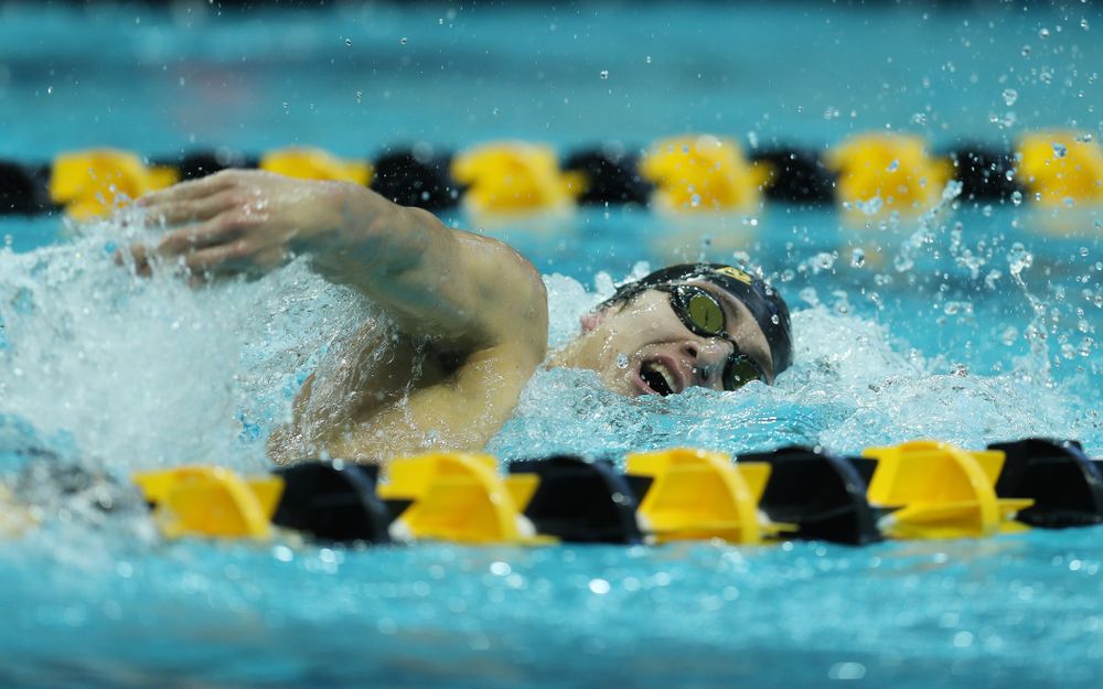 Iowa's Michael Tenney swims the 500 yard freestyle Thursday, November 15, 2018 during the 2018 Hawkeye Invitational at the Campus Recreation and Wellness Center. (Brian Ray/hawkeyesports.com)