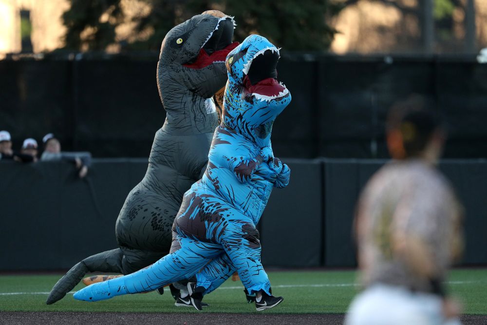 The dinosaur race during the Iowa Hawkeyes game against the Nebraska Cornhuskers on Military Appreciation Night Friday, April 19, 2019 at Duane Banks Field. (Brian Ray/hawkeyesports.com)