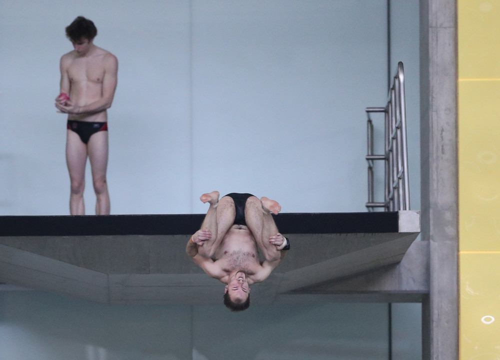 Iowa's Anton Hoherz competes on the platform during the 2019 Big Ten Men's Swimming and Diving Championships Saturday, March 2, 2019 at the Campus Wellness and Recreation Center. (Brian Ray/hawkeyesports.com)